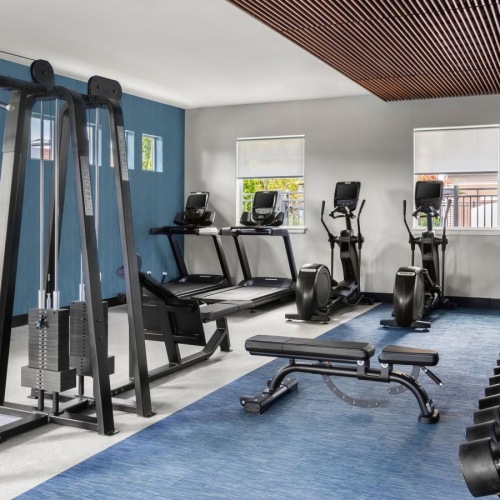 a gym with exercise equipment